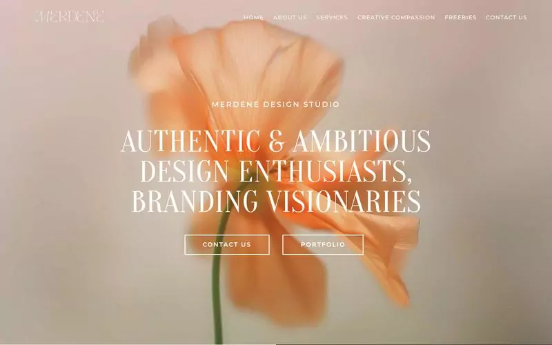 Merdene Design Studio website screenshot
